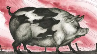 Obra de la ilustradora Ana Juan inspirada en el clásico 'Rebelión en la granja'.