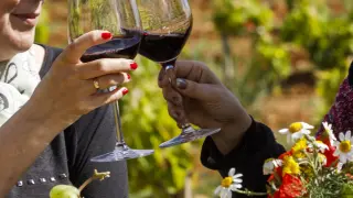 Disfruta del mejor vino y la buena comida en La Rioja