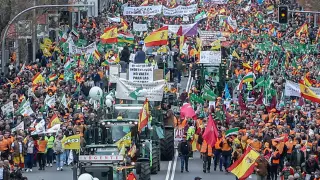 Manifestación de colectivos del campo en defensa del medio rural en Madrid.