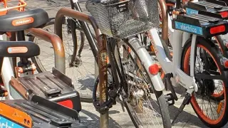 Bicicletas de alquiler en un aparcabicis del paseo de la Independencia.