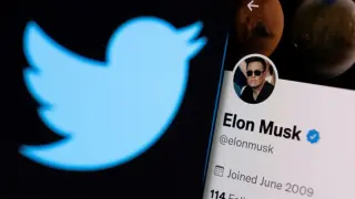 Logo de Twitter junto a la cuenta de Elon Musk