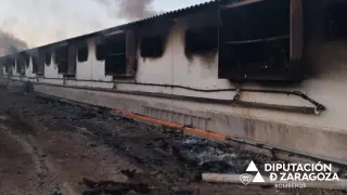 Incendio de una granja de cerdos en Pozuelo de Aragón.