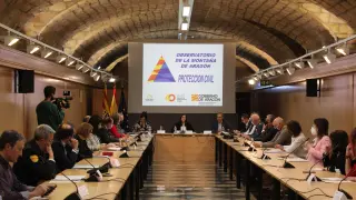 Reunión del pleno del Observatorio de la Montaña de Aragón