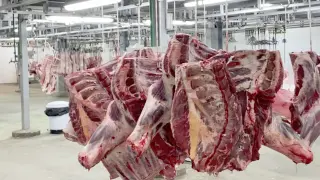 Mercado de carnes.