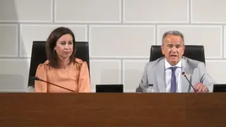 La vicepresidenta de la DPZ, Teresa Ladrero, y el presidente, Juan Antonio Sánchez Quero, durante el pleno ordinario de julio.