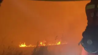 Incendio del Moncayo  (42760598)