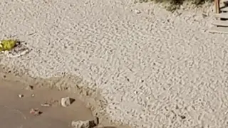 Los dos cadáveres yacen cubiertos sobre la arena en la playa de Salou