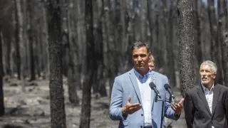 El presidente del Gobierno, Pedro Sánchez, comparece durante su visita a las zonas afectadas del incendio de Bejis