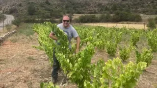El viticultor Manel Roldán, en una de sus viñas de altura de la sierra de Javalambre.