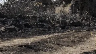 Uno de los parajes de Ateca consumido por las llamas.