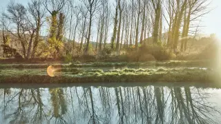 La FAO señala en su último informe que la acuicultura es sostenible y tiene un gran potencial para alimentar y nutrir a la creciente población mundial.