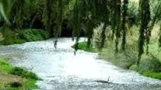 Ribera del río Jiloca