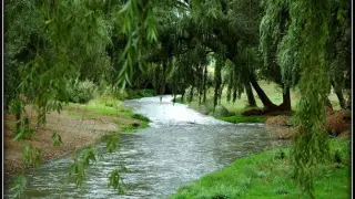 Ribera del río Jiloca