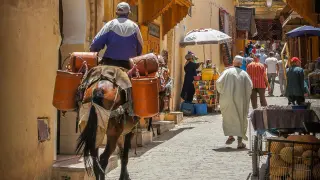 Un hombre circula en camello en Marruecos