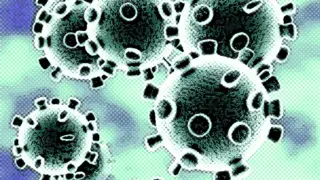 Imagen Coronavirus