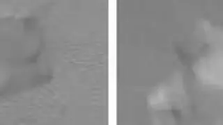 Imágenes de la cámara de seguridad que muestran a la secuestradora