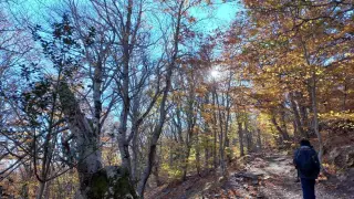 Del Pirineo al Moncayo: tres excursiones de nuestros ‘ruteros’ para disfrutar de los colores del otoño