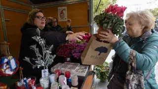 Una mujer compra una planta en una de las casetas del Rastrillo de Atades.
