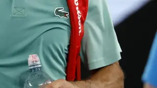 Roberto Bautista, eliminado del Open de Australia