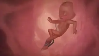 Fotograma del vídeo compartido por el cura en contra del aborto.