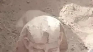 Excavan en Egipto una esfinge sonriente con hoyuelos.
