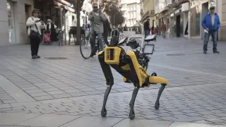 Un perro robot de Acciona en las Cuatro Esquinas de Huesca.