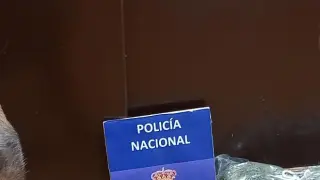 La perra policía "Coca" ha interceptado la marihuana en la estación Delicias de Zaragoza.