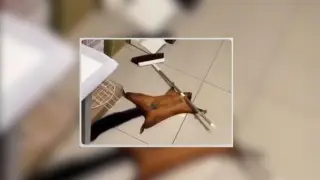 Vídeo viral de una ardilla voladora