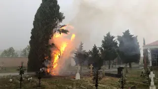 El ciprés envuelto en llamas en el camposanto de Aguaviva.