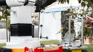 Robot que vendimia Feria Maker de Roma