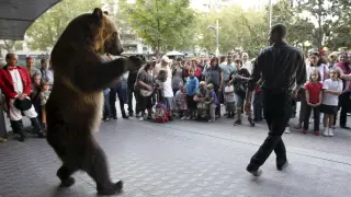El oso que en 2009 demostró sus habilidades a las puertas de El Corte Inglés.