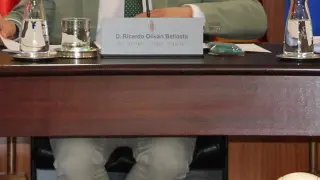 Ricardo Oliván ha presidido el pleno de la DPH ante la ausencia del presidente, Isaac Claver, que se encuentra de viaje de novios.
