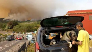 Eduardo Khoury, con sus perros Calima y Plutón, tras ser evacuado de su casa en la Esperanza por el incendio.