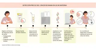 Investigadores del Vall dHebron Institut dOncologia (Vhio) han comprobado en un estudio que la leche materna de las pacientes con cáncer de mama contiene ADN del tumor