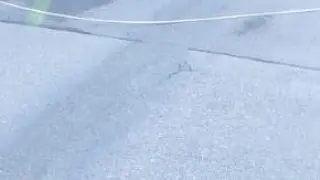 El cable se cayó a la carretera antes de que pasara el autobús escolar.