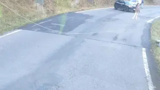 El cable se cayó a la carretera antes de que pasara el autobús escolar.