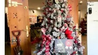 Árboles de Navidad premiados en Huesca (La Casa del Pintor, Osca Hermanos Justo Cerrajeros y Moda Re).