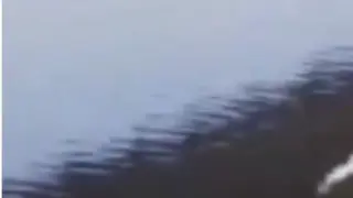 Un joven salta desde un coche al mar en Cantabria