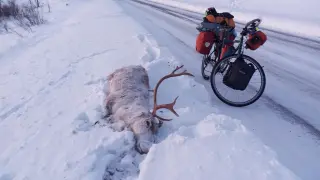 El zaragozano de las nieves, en su nueva aventura en el Ártico.