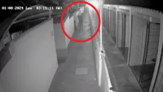 Una cámara de seguridad permitió ver que ladrón llevaba una sudadera característica.