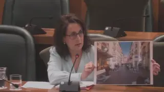 La concejala de Vox Eva Torres, este martes en la comisión de Economía del Ayuntamiento de Zaragoza