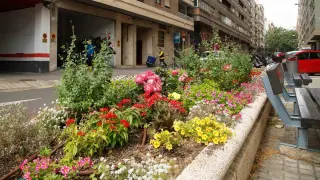 Una de las intervenciones florales, en Zaragoza