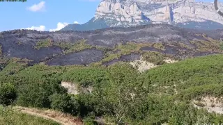 Área calcinada por el incendio forestal de El Pueyo de Araguás.