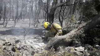 Incendio en La Puebla de Albortón
