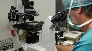 Un médico trabaja en la Unidad de Reproducción Asistida del Servet
