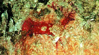 Pinturas rupestres de Río Vero en Huesca