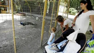 Elboj inaugurará el punto zoológico del parque Miguel Servet antes de dimitir