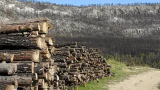 El plan para ayudar a las zonas quemadas en 2009 solo incluye actuaciones forestales