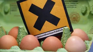 El huevo es uno de los alimentos que provoca más alergias