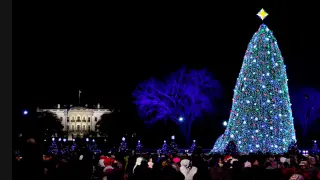 El viento arranca el árbol de Navidad de la Casa Blanca